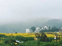 -新安江山水画廊风景区