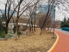 -大兴滨河森林公园