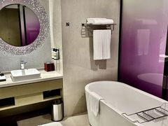 -南京禄口机场雅高铂尔曼大酒店