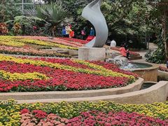 -南山植物园
