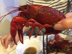 -虾弄弄海派小龙虾·牛羊蝎子火锅