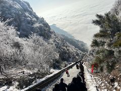 -泰山风景名胜区