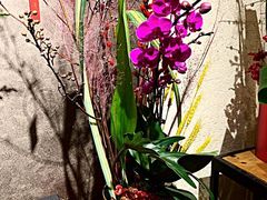 -浦鸿会游泳健身中心·Ambassy Club PD(金桥碧云国际社区店)