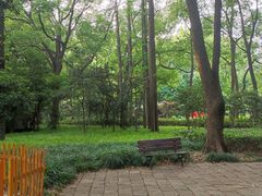 -徐家汇源景区-衡山公园