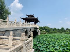-东湖落雁景区