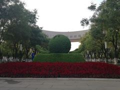 -国家动漫园