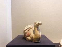 -安阳博物馆