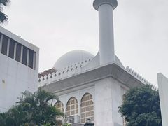 -九龙公园