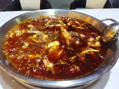 -蛙鱼道美蛙鱼自助火锅(新耍都店)