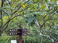 -大亚湾红树林城市湿地公园