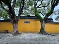 -西园戒幢律寺
