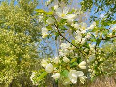 -长春市南湖公园