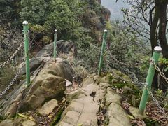 -南山植物园