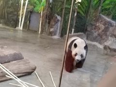 -海南热带野生动植物园