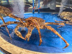 -上和臻品中国菜(花园街店)