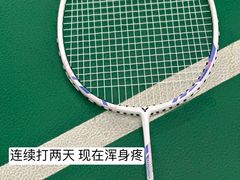 -东丽温泉羽毛球