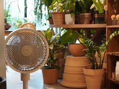 -自由生长植物工作室(深港花卉中心店)
