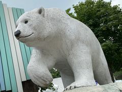 -海合安成都极地海洋公园