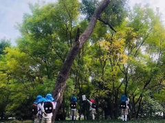 -糖心家族国际幼儿园·托育园(南开水上公园店)