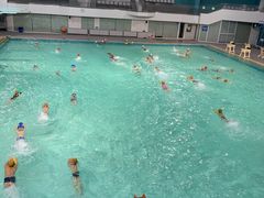 -重庆市奥林匹克体育中心-游泳跳水馆