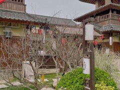 -诗经里