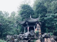 -凤栖山