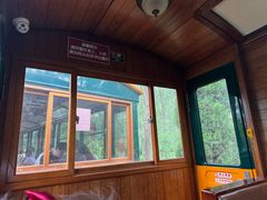 -合肥滨湖国家森林公园