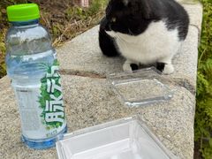 -山东大学(威海校区)