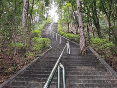 -神光山国家森林公园