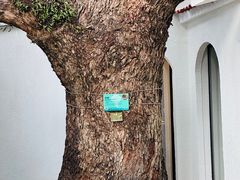 -澳门圣地牙哥古堡酒店