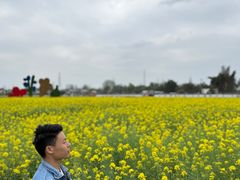 -三圣花乡旅游区