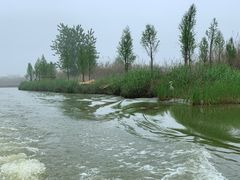 -泗洪洪泽湖湿地景区