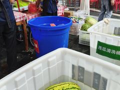 -观音桥步行街