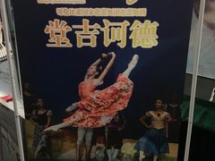 -合肥大剧院
