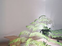 -光作面包Voila Lumiere(中山店)