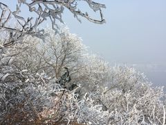 -紫金山索道-售票处