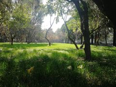 -井格重庆火锅(新世纪店)