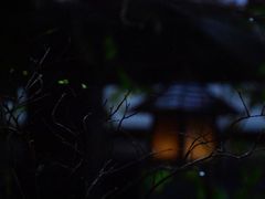 -菩提书坊(侨福大厦店)