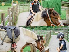 -前小桔亲子创意农场·草莓采摘·露营烧烤