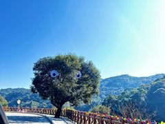 -广州市石门国家森林公园