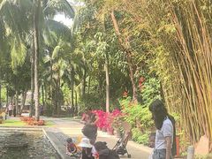 -三亚湾海居铂尔曼度假酒店