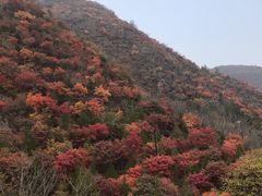 -云岫谷自然风景区