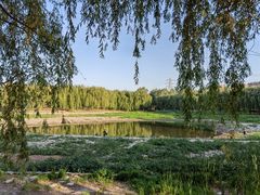 -东坝千亩湖公园