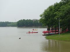 -上海海湾国家森林公园