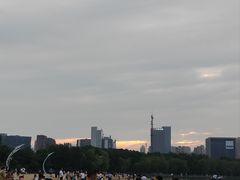 -天鹅湖体育公园