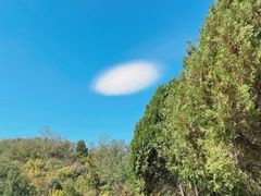 -北京西山国家森林公园