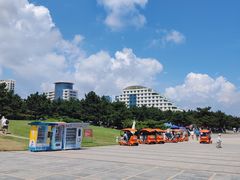 -日照灯塔风景区