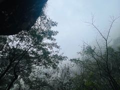 -刘伯温故里景区百丈漈