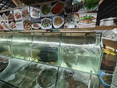 -罗源湾8号渔排