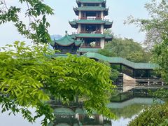 -桂湖森林公园